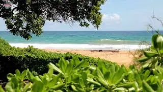 Ocean Calm &ndash; Relaxing Waves & Beautiful Nature Music