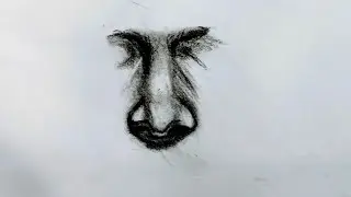 Basic tarike se Nose outline drawing l charcoal pencil drawing 