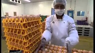 Ovocoop (mars 2008)