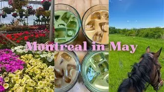 Spring in Montreal | new food spots, friends and my horse
