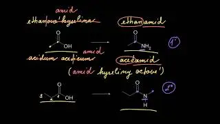 Vlastnosti a názvosloví amidů | Organická chemie | Khan Academy