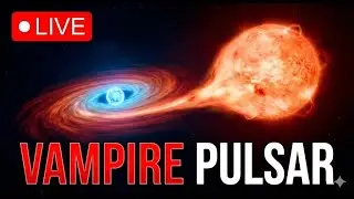 De Sterren-Vampier: Het Leegzuigen van de Buurster 🔴 Kosmos Live 24/7