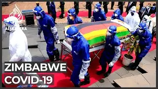 Zimbabwe elite forced to confront crippled healthcare system