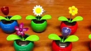 9 solar powered flowers