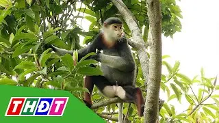 Việt Nam đứng thứ 14 thế giới về đa dạng sinh học | THDT