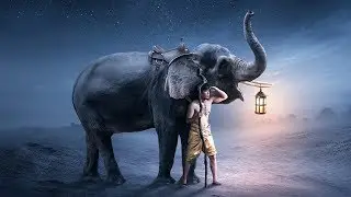 Simone Sarag&ograve; - Elephant (EDM Melbourne Bounce Video)