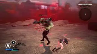SG/ZH: School Girl/Zombie Hunter 5-D Last Mission