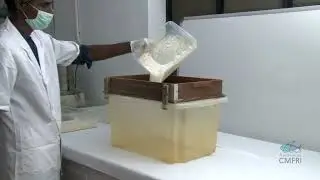Fish feed production 2022
