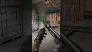 Fast MOLOTOV From A Main For Pop Dog On Train In CS2 #cs2 #shorts