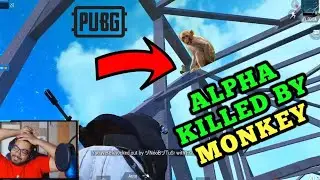 HYDRA ALPHA vs MONKEY | ALPHA CLASHER FUNNY MOMENTS Ep.8
