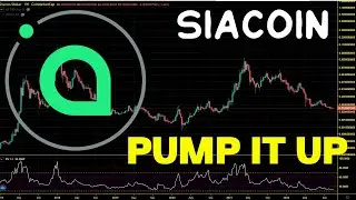 Siacoin (SC) Key Support Levels. 🚀 SC Price Chart Analysis and Price Prediction 2022