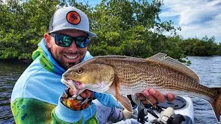 Tampa Bay Fishing After a Cold Front | Tips & Tricks
