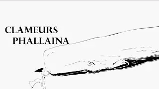 CLAMEURS #3 Phallaina