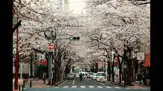 [FREE FOR PROFIT] Japanese Midwest Emo + Emo Rock type beat 