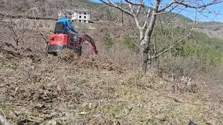 16 март 2025 г.