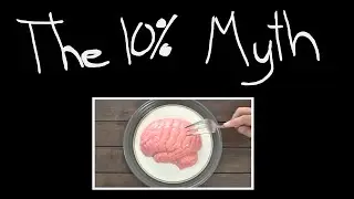 A Real Neuroscientist Debunks The 10 Percent Myth [Featuring His Adorable Kids]
