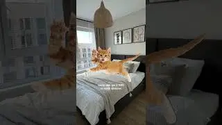 да ваще блин капец #геша #roblox #популярнаяигра #роблокс #роблоксер #кот