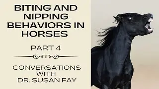 Biting and Nipping Behaviors in Horses - Part 4