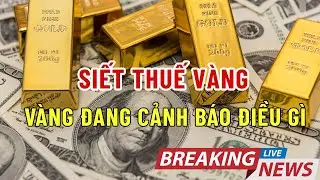 Siết thuế vàng và dòng tiền bí ẩn: Sự thật chấn động sau lớp ánh kim| Tăng Tốc Tiền