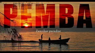 Pemba Zanzibar | Road trip on the island