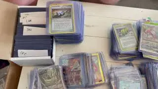 We bought a $18,000 Pokémon Collection | Buyer POV