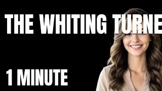 The Ultimate The Whiting Turner Contracting Company Review Tutorial  From Zero to Pro in 1 Minute