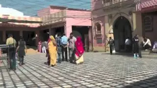Il Tempio dei Topi - INDIA - Bruno Davò