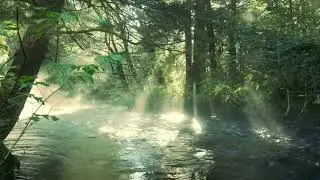 3-Hour Relaxing River Ambience for Study, Focus, Meditation, Sleep