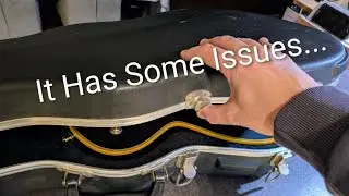 I Just Bought My DREAM GUITAR, But...