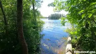 Portage - Basswood Lake (Hoist Bay) to Good Lake in the BWCA
