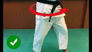 The Power of Gamaku; The Core of Japanese Martial Arts