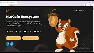 Nutgain- What Is Nutgain?