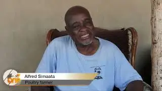 Local farmers breed rabbits for meat