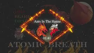 Ants In The House - RedBeardDragon