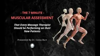 The 7-minute Muscular Assessment Every Massage Therapist Should be Performing on their New Patients!