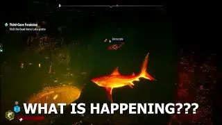 Frame By Frame Swimming!!-Maneater