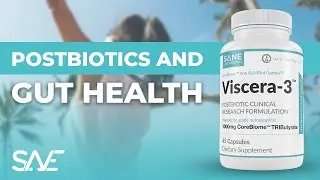 The best supplement for digestion and gut health | Viscera-3 | SANE Solution