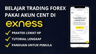 Cara Trading Forex di Exness dengan Akun Cent | Panduan Lengkap untuk Pemula