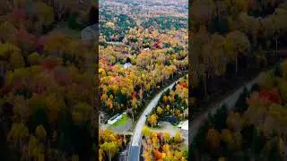 The winding roads of Cape Breton Island ! #shorts #fall #canada #mountains