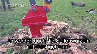 Wurzelrodung, Baumstumpf entfernen mit Wurzelratte  -  Minibagger Spezi Biebergem&uuml;nd