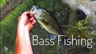 Bass fishing Upper and Lower Nehmabin, and the Fox River
