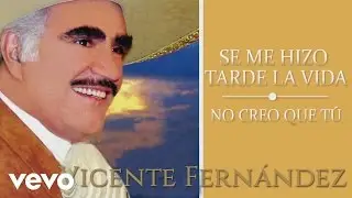 Vicente Fernández - No Creo Que Tú (Cover Audio)