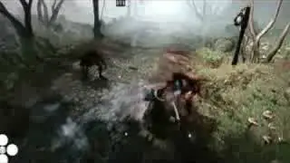 Fable 2 Combat Gameplay