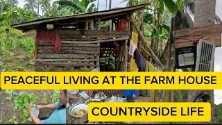 MOVING-IN AT THE PHILIPPINES MOUNTAIN FARM HOUSE 🏠