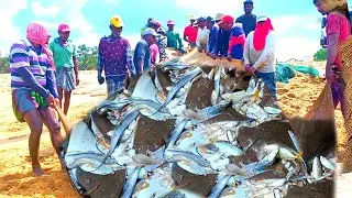 😱😮 Amazing NEW ! Net fishing unbelievable fishing video 2025 - you never seen that before %100% 