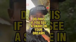 Do this if you see a snake in your dream #prophetic #motivation #prophetictraining #inspriration