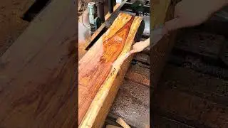 Gỗ Cẩm Nam Mỹ