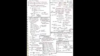 Short Notes Signal system Revision ECE,EE,IN