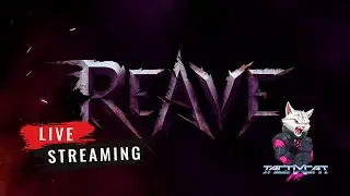 REAVE Live 🔴 - Let's Level Up!