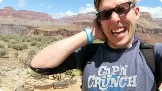 I FELL INTO A CACTUS | Evan Edinger Travel